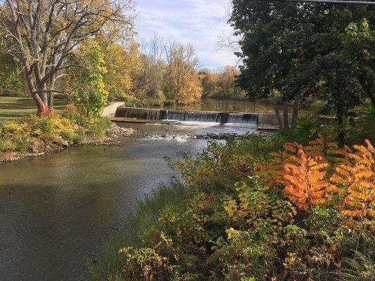 Rush during Autumn (East/West Trail)