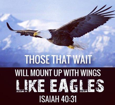 SOAR LIKE AN EAGLE!