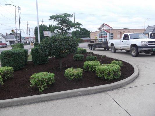 Jeffrey's Landscape & Lawncare