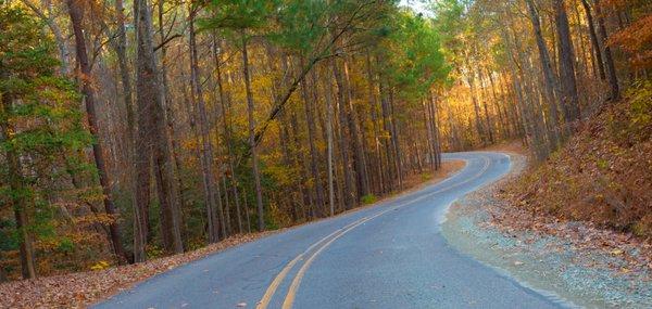 Twisting road through life as seen near Jordan Lake, NC.