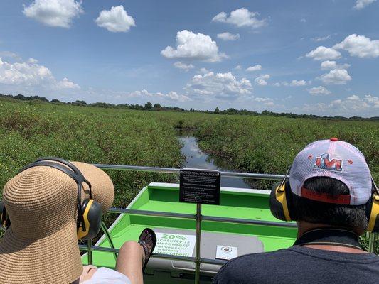 Gliding through the Everglades