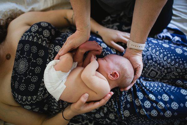 Newborn Session