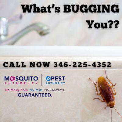 Mosquito Authority Conroe