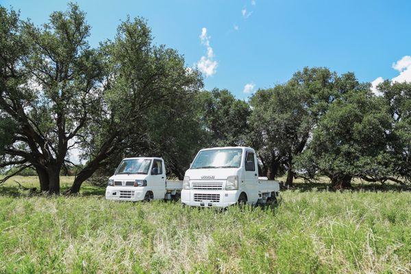 Mini Trucks in the Wild