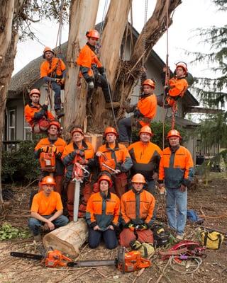 Signature Tree Service