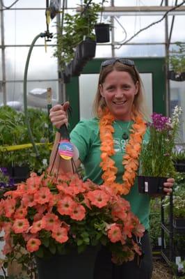 Pretty hanging baskets and flowering plants. ALL of our Annuals and Perennials are certified BEE SAFE!