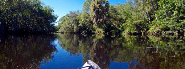 Imperial River, Bonita Springs.