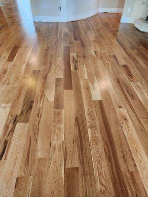 Solid wood floor 5"inches grade-2 natural finish