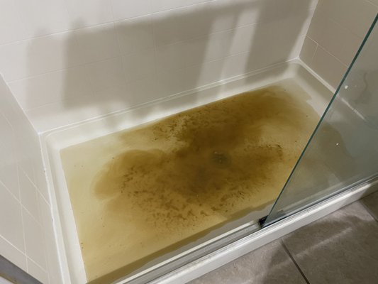 Sewage water in shower that took 2 weeks to fix.