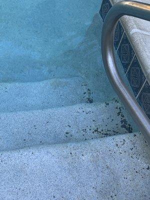 Nasty pool.. they are are trying to be COVID safe closing everything else, but don't care about e. Coli in the pool.