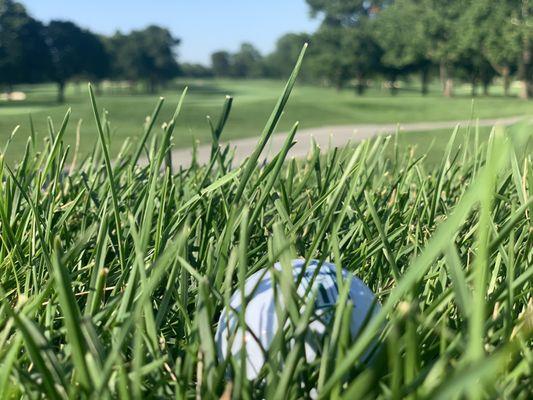 Olympia Fields Country Club