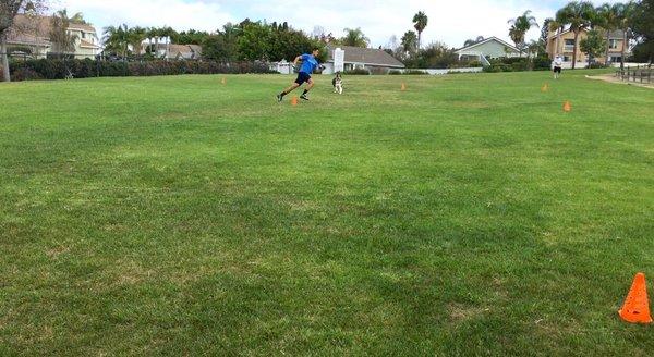 The doggie wanted to do some drills too.