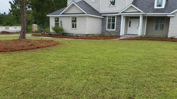 Landscape on a new construction