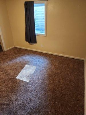 Finished carpet install