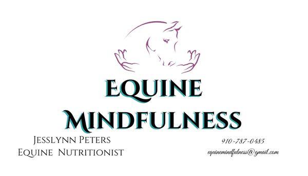 Equine Mindfulness