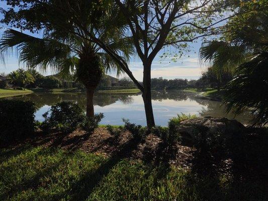 Pretty lake view