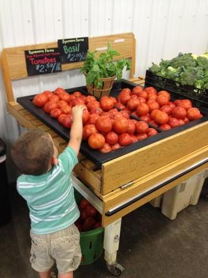 Stocking the field grown tomatoes.