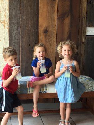 Our grandchildren enjoying NAVS lemonade