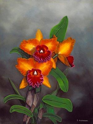 Stephen Andreason oil painting for Carter and Holmes Orchid Magazine