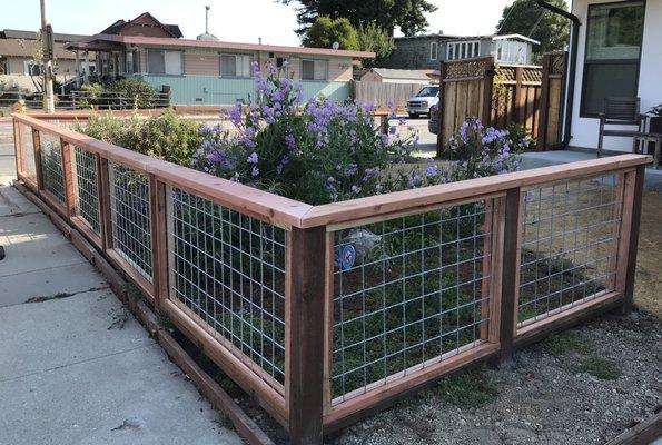 Hogwire fence in Santa Cruz, CA