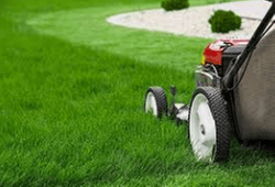 Hyalite Lawn care