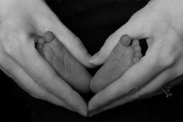 Newborn Portraits