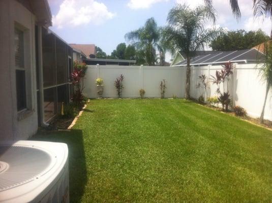 Back yard cut, trimmed and edged.