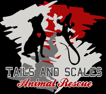 Tails and Scales Animal Rescue