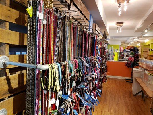 Specialty Leashes and Collars