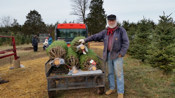 Winterberry Christmas Tree Farm