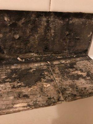 Tiles falling off wall of shower with black mold behind