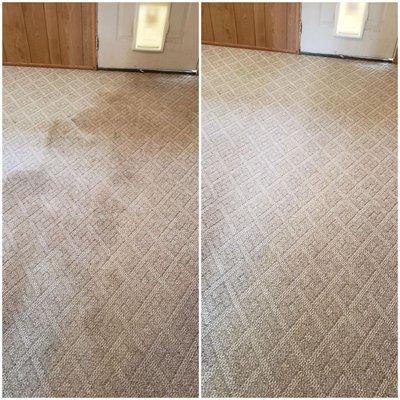 Low Moisture Cleaning Specialist