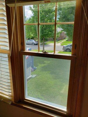 Interior woodgrain vinyl window with grids