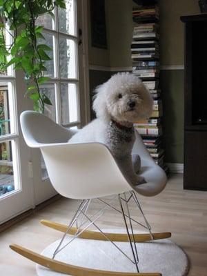 My brand new Eames rocker from DWR