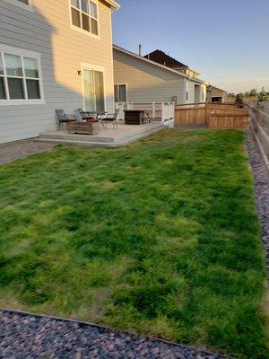 Sod and Concrete Patio