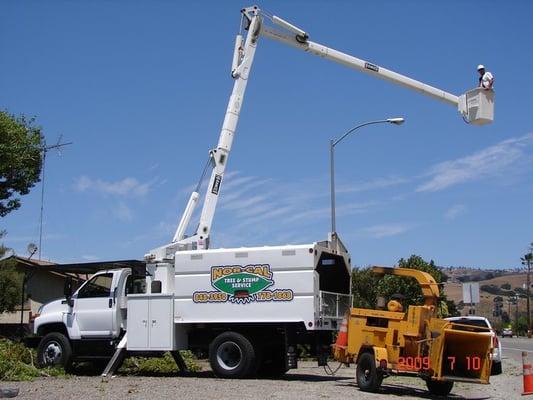 Nor-Cal Tree and Stump Service, we bend over backwards for our customers.