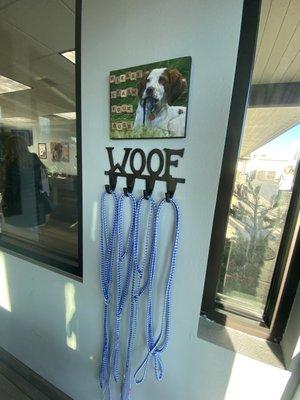 Garland Animal Clinic Leash Rack