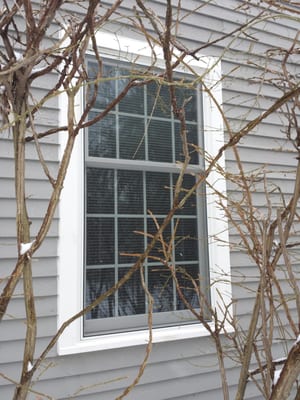 Cottage style double-hung windows with optional grilles between the glass