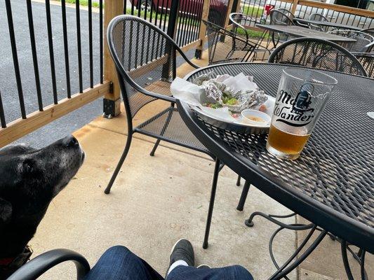 Gyro, humus and a jealous dog