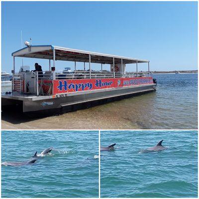 Beach stop dolphin cruises available