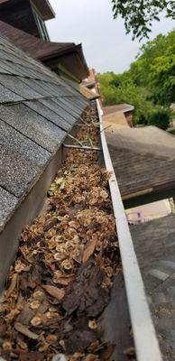 Let US take Care of your gutter cleaning and downspouts