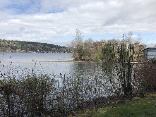 4 luxury homes at Lake Washington waterfront with private gated property.