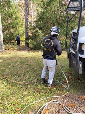 Alex getting ready to rope a branch while another worker is waiting for it to fall.