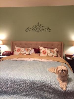 Mattress, adjustable bed, and headboard I got from Mattresses For Less. Dog not included.