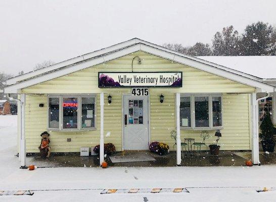 Valley Veterinary Hospital