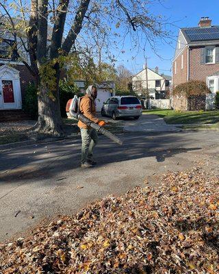 Leaf blowing..!!