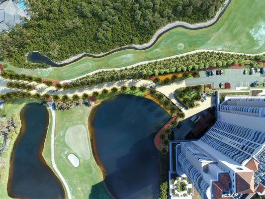 Horizons Bonita Bay 3D Montage (Drone photo with 3D elements laid overtop). Used after hurricane devastated the vegetation.