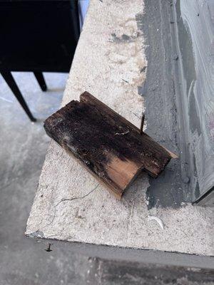 Piece of wood with mold that plumber found in wall