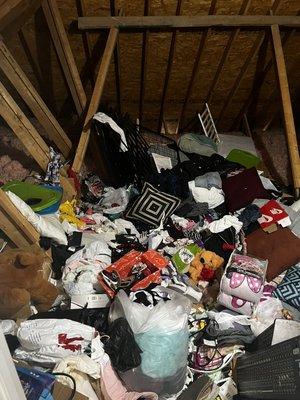 ATTIC DECLUTTERING AND ORGANIZING