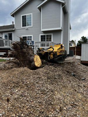 Moore Stump Removal